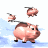 flying pigs