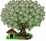moneytree "Free" healthcare available here